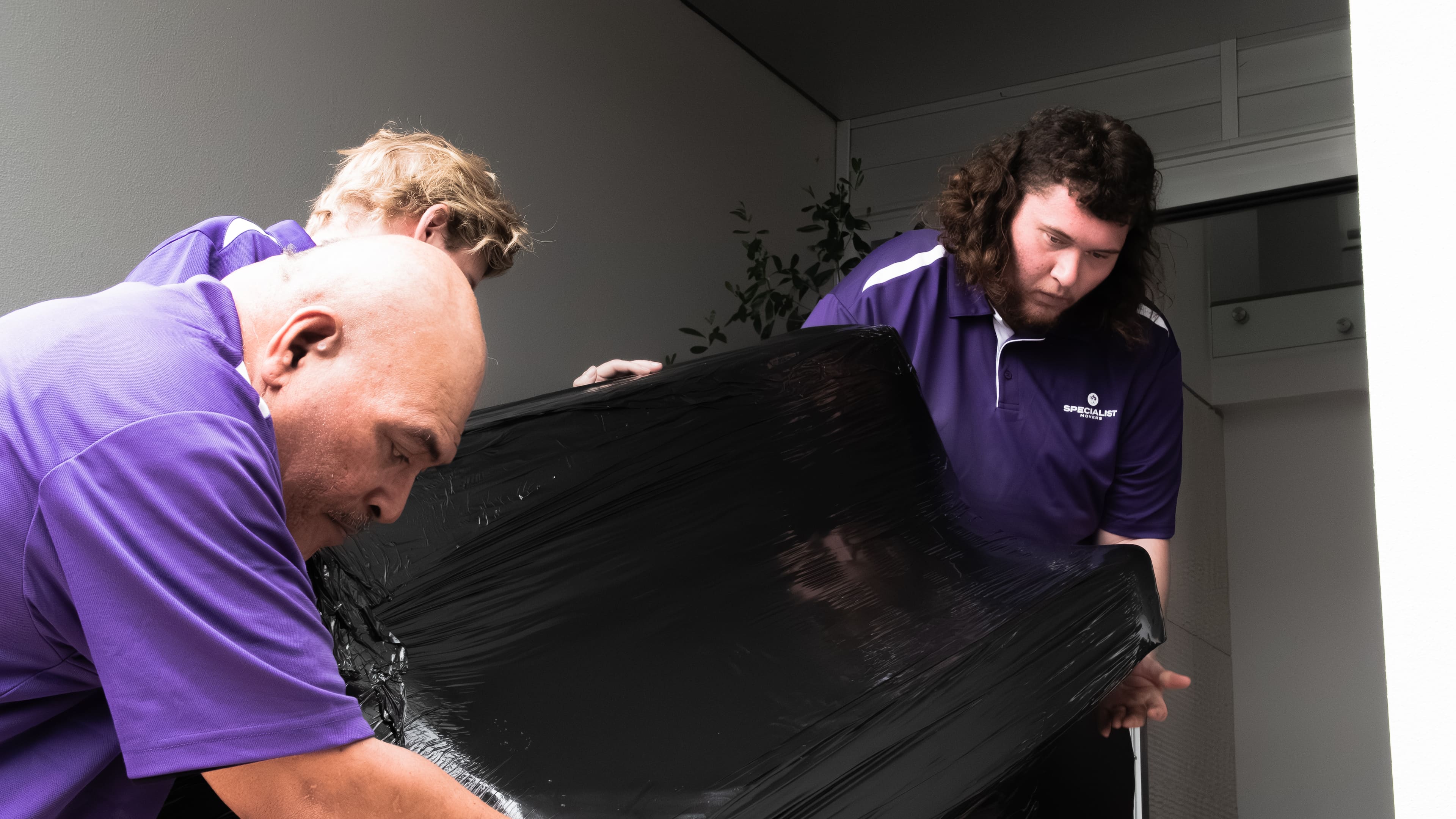 Crew moving wrapped furniture into a home